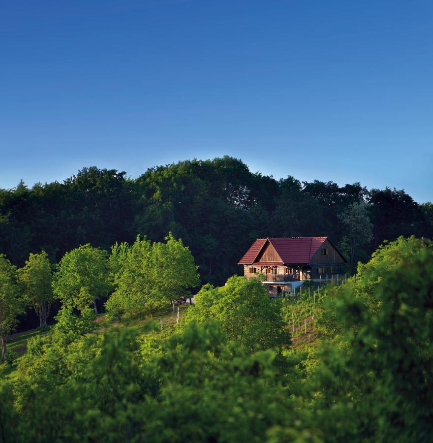 Green Silence Bedenica ภายนอก รูปภาพ